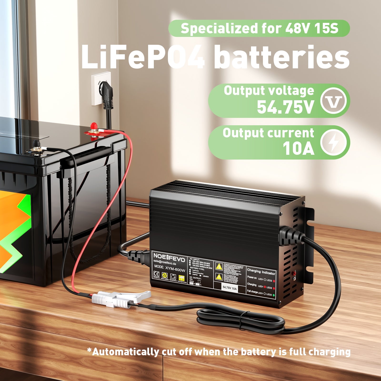 NOEIFEVO 54.75V 10A LiFePO4 Caricabatterie per LiFePO4 48V 15S batteria